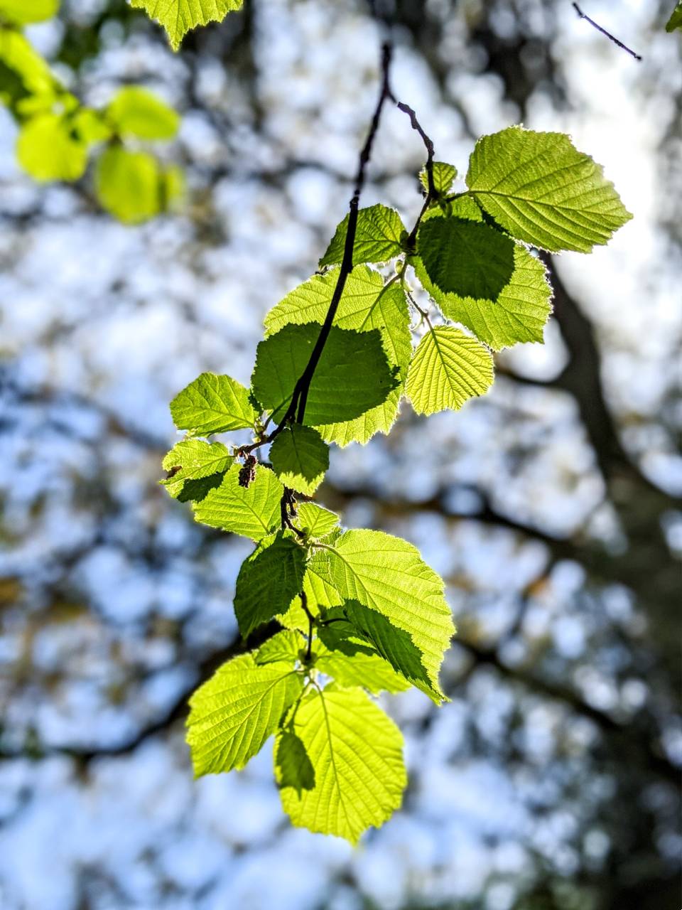 ergoterapeutisk behandlingsforløb